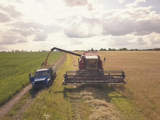 Harvesting of wheat in summer. Harvesters working in the field. Combine harvester agricultural...