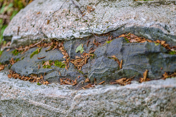 brick and stone textured pattern in nature