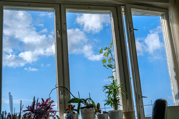 apartment windows against blye sky and dirty glass