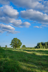 Fototapeta na wymiar natural countryside view in summer evening