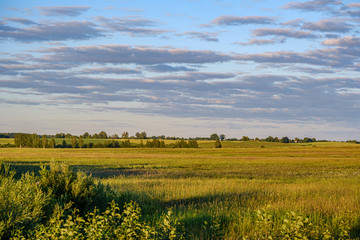 natural countryside view in summer evening