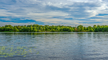 forest lake in summer