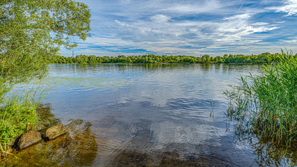 forest lake in summer