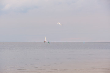 sea beach aerial detail view in summer