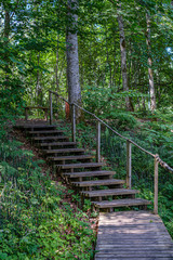 Obraz premium old wooden plank footbridge with stairs in forest