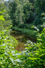 natural tourist trail in forest near small river in the woods