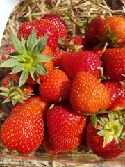 fresh strawberries 