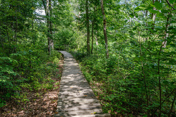 Obraz premium old wooden plank footbridge with stairs in forest