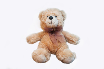 Teddy bear isolated on white background