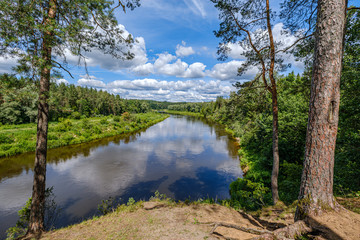 river Gauja in Latvia, view through the trees in summer