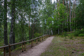 wooden fance in countryside nature trail