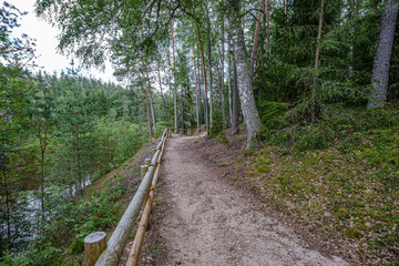 wooden fance in countryside nature trail