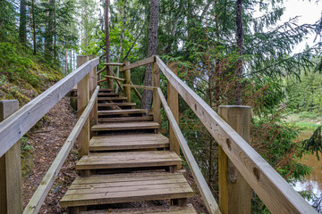 old wooden plank footbridge with stairs in forest