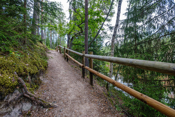 wooden fance in countryside nature trail