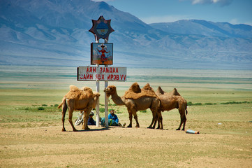 Mongolian shepherds on vacation