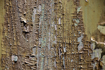 Yellow Green Vintage worn wood grain texture background surface