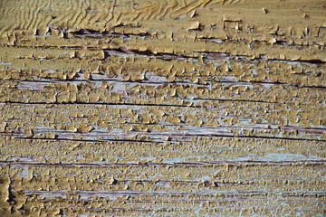 Green grunge paint chip wood texture background