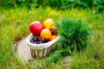 different vegetables and fruits harvest in the wicked basket on the ground