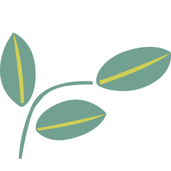 Isolated trendy clip art leaf on the white background. 