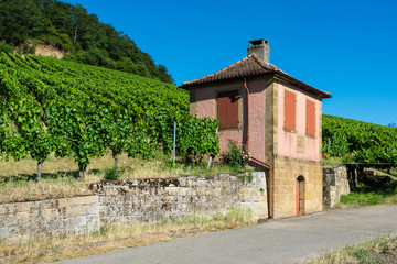 Historisches Weinberghaus Mbrods in Heilbronn