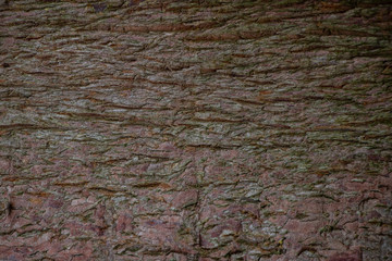 Vintage worn wood grain texture background surface