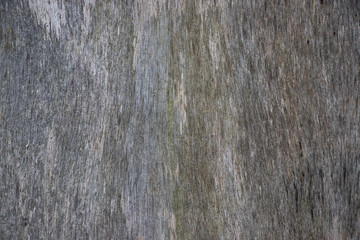 Vintage worn wood grain texture background surface