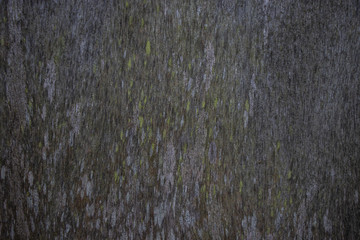 Vintage worn wood grain texture background surface