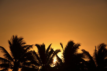 Couch&eacute; de Soleil sur la Pointe de Sel