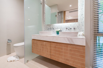 Luxury bathroom features basin, toilet in the house or home building