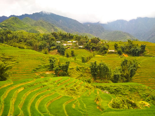 Green terrace rice fields in mountains with lonely village