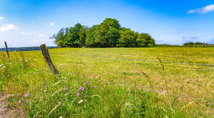 Landschaft im Westerwald