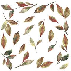 zestaw jesiennych liści w technice akwarelowej