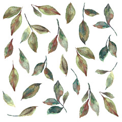 Zestaw jesiennych liści w technice akwarelowej - obrazy, fototapety, plakaty