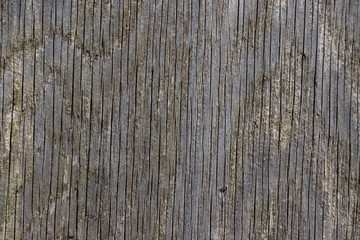 Vintage worn wood grain texture background surface