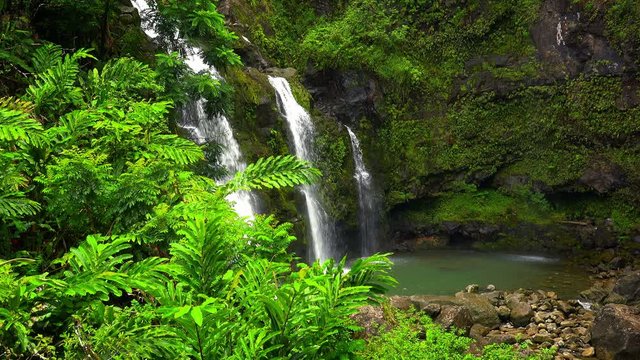 Cinemagraph Loop of Hawaiian Waterfall in Rainforest, Three Bears Falls on the Road to Hana, Maui, Hawaii