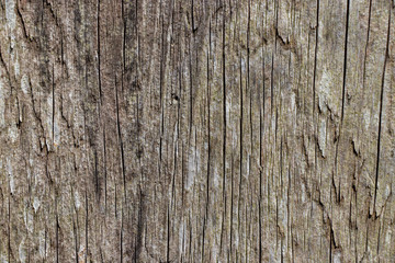 Vintage worn wood grain texture background surface