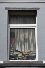 fenêtre livre lecture culture