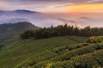 Fototapeta premium beauty of Taiwan