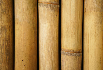 Brown bamboo fence background. Bamboo texture