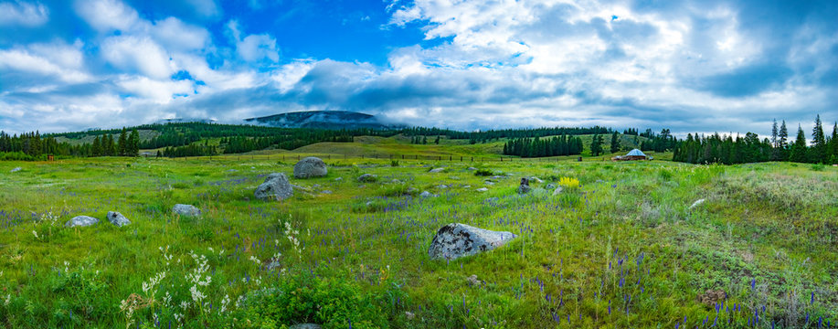 Alpine steppe in the background of snowy mountains © Great Siberia Studio