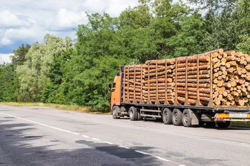 Timber truck with a forest rides on the highway with cargo