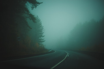 cold thick fog over the road in the twilight forest