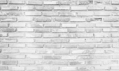 White brick wall texture background
