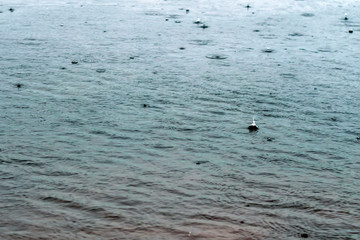 rain drops on the background texture abstraction