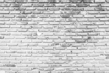 White brick wall texture background
