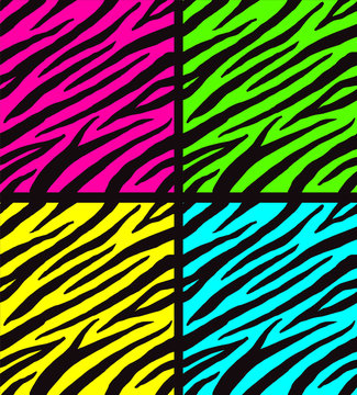 Vector set of seamless neon color zebra print pattern isolated on black background