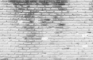 White brick wall texture background