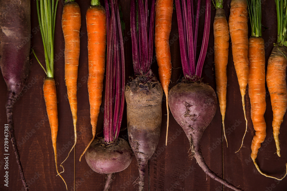 Wall mural autumn vegetables harvest for thanksgiving holiday concept