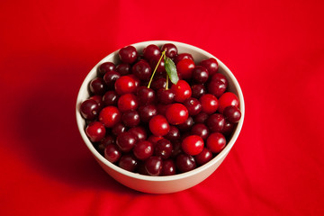red cherry in a white plate on a red background