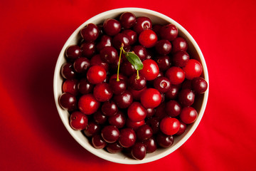 red cherry in a white plate on a red background
